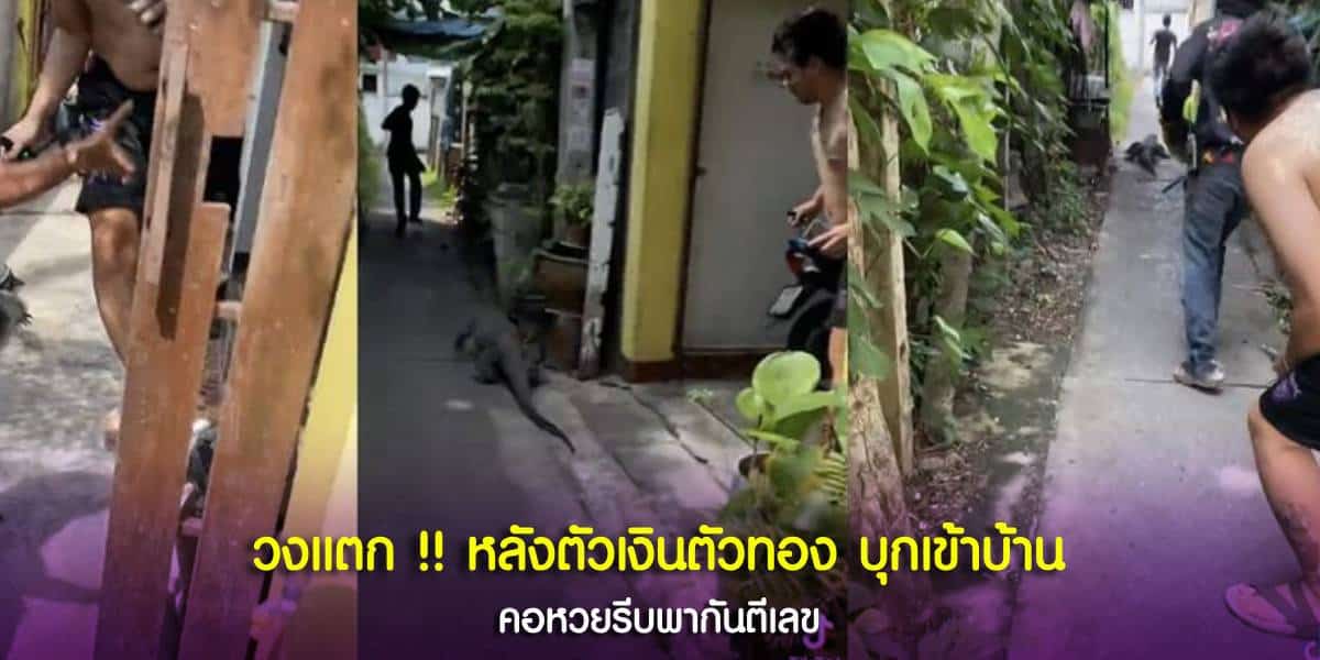 เจอตัวเงินตัวทองบุกบ้าน